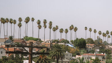 Photo of La capucha hipster: una guía completa de Silver Lake, Los Ángeles