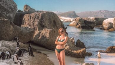 Photo of Cómo visitar a los pingüinos en Boulders Beach